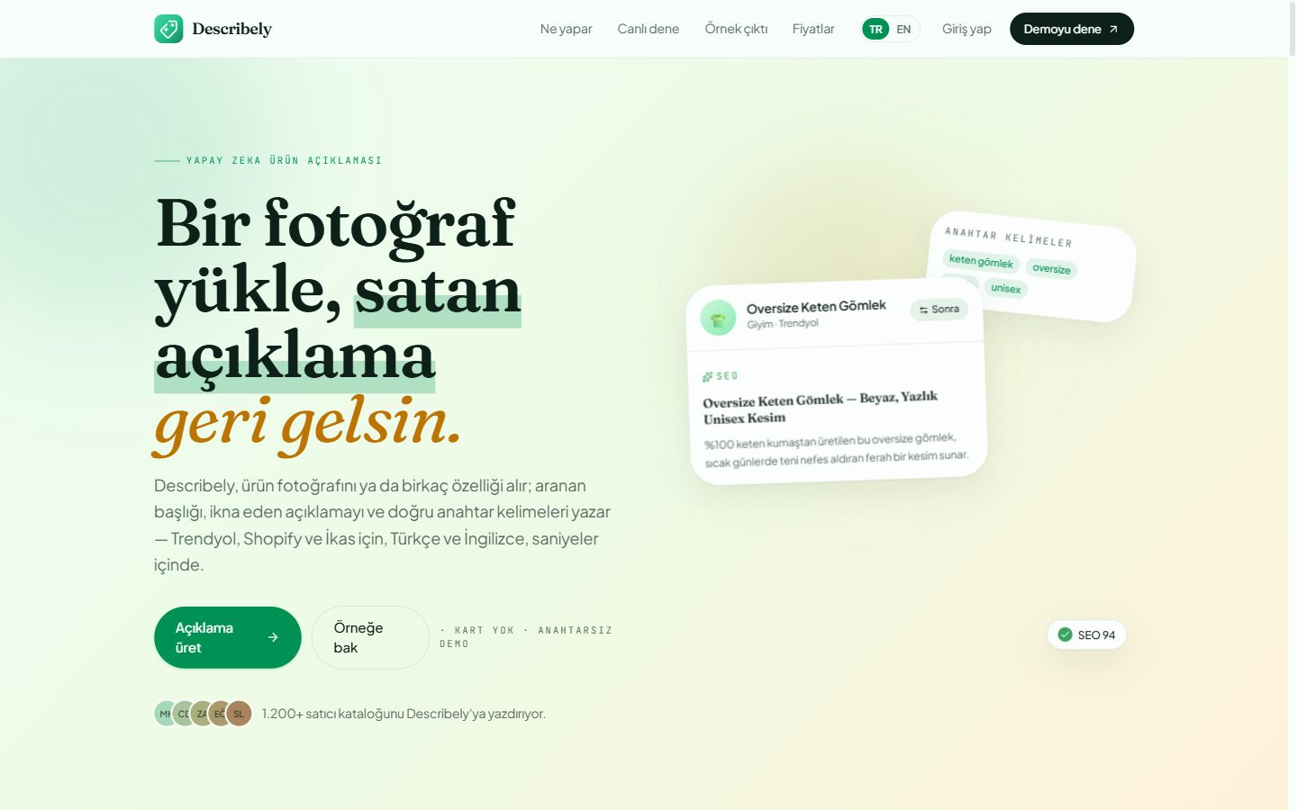 Describely — product copy